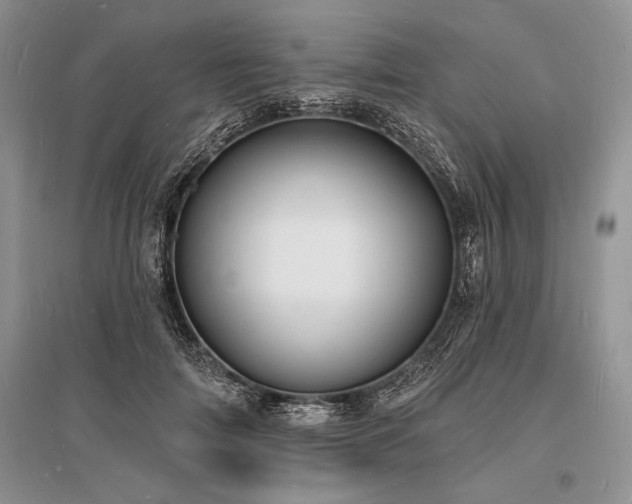 X0000096390698200801241302
