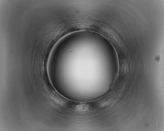 X0000096390700200801241302