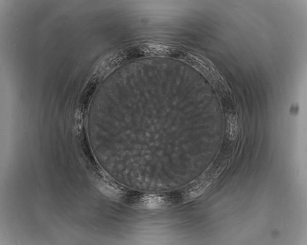 X0000096390701200801241302