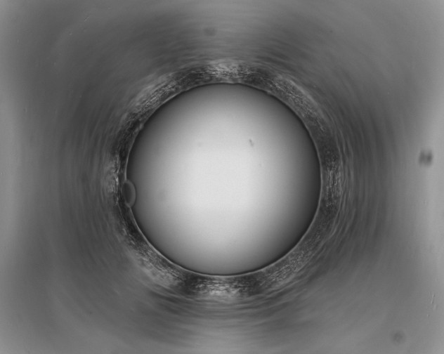 X0000096390702200801241302