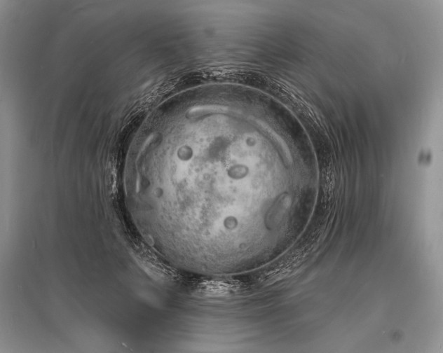 X0000096390703200801241302