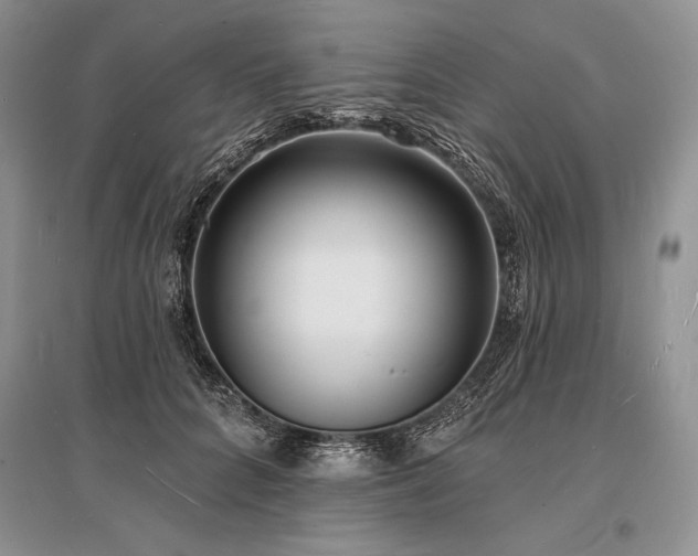 X0000096390704200801241302