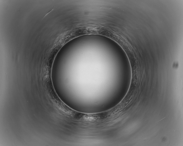 X0000096390706200801241302