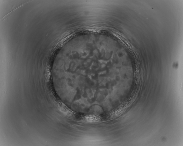X0000096390707200801241302