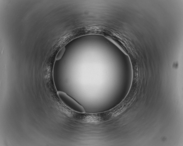 X0000096390708200801241302