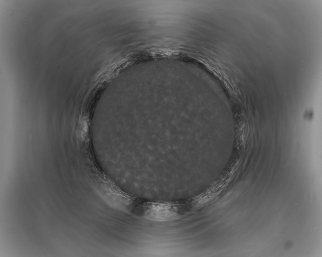 X0000096390709200801241302
