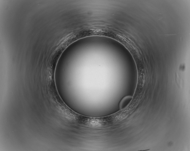X0000096390710200801241302