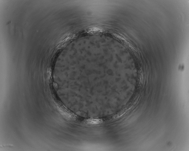 X0000096390711200801241302