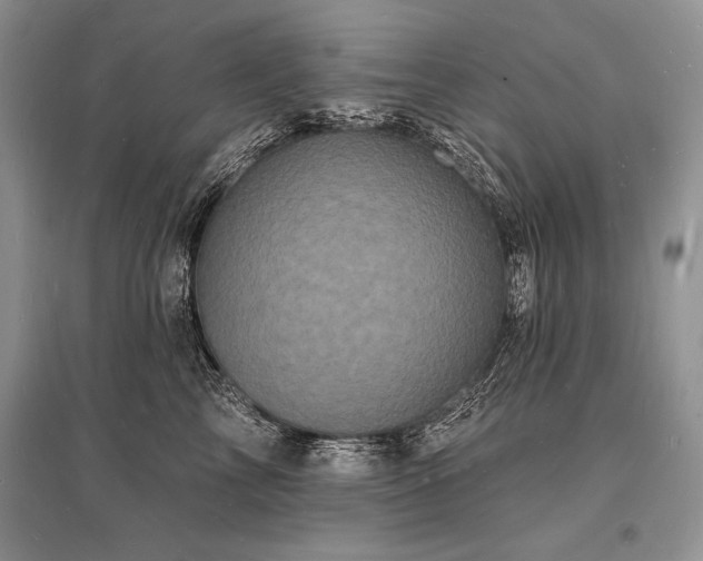 X0000096390713200801241302