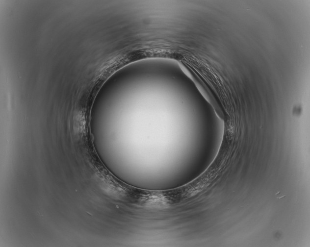 X0000096390715200801241302