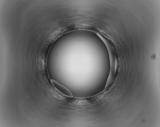 X0000096390716200801241302