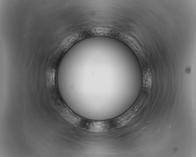 X0000096390717200801241302