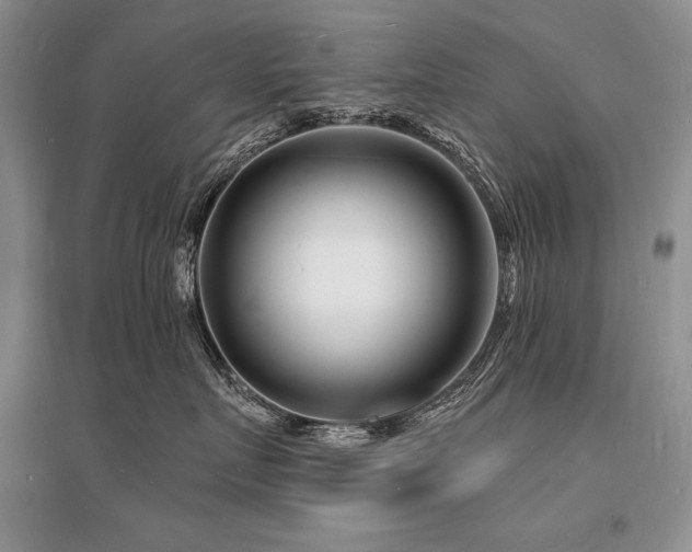 X0000096390719200801241302
