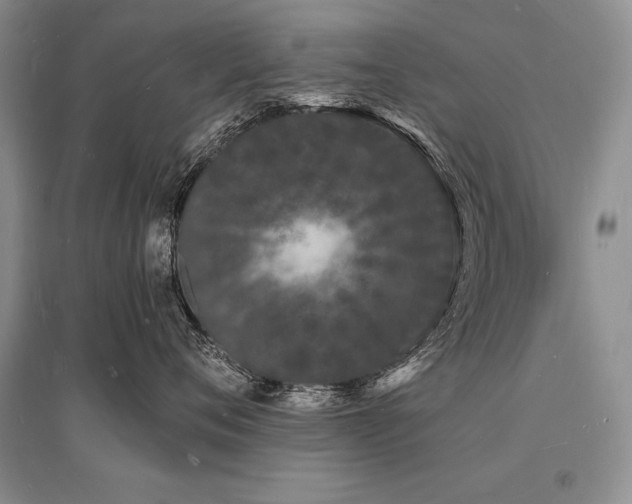 X0000096390720200801241302