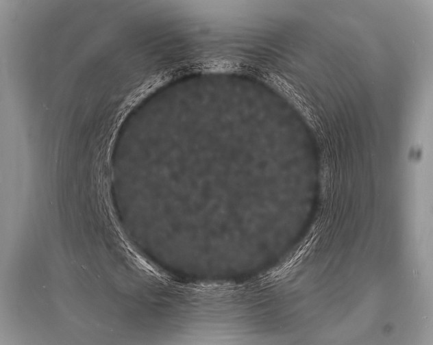 X0000096390721200801241301