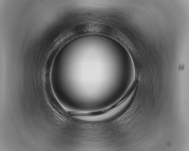 X0000096390722200801241301