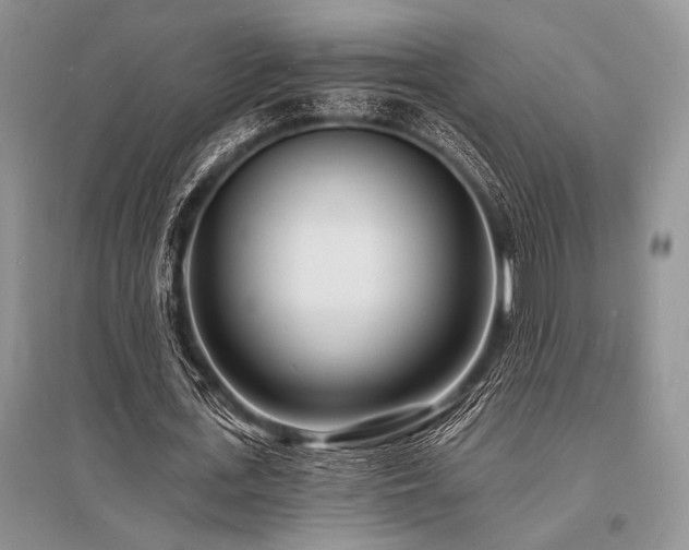 X0000096390723200801241301