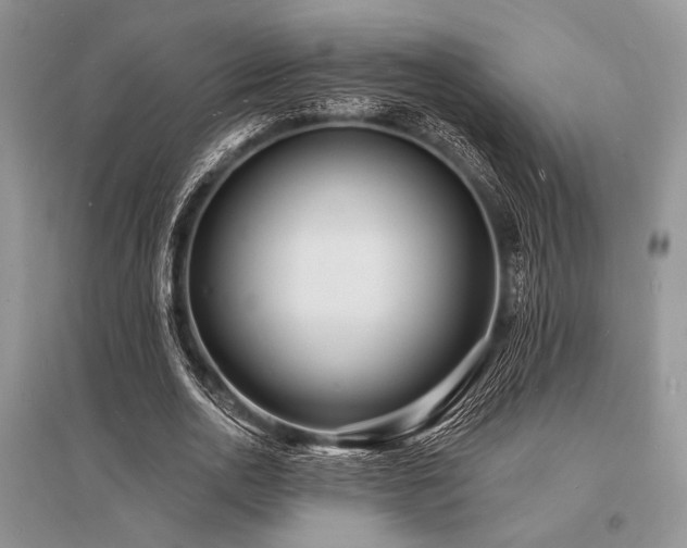 X0000096390726200801241301