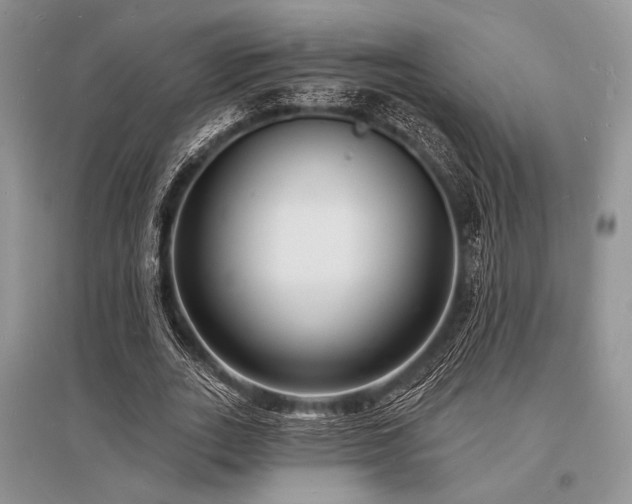 X0000096390727200801241301