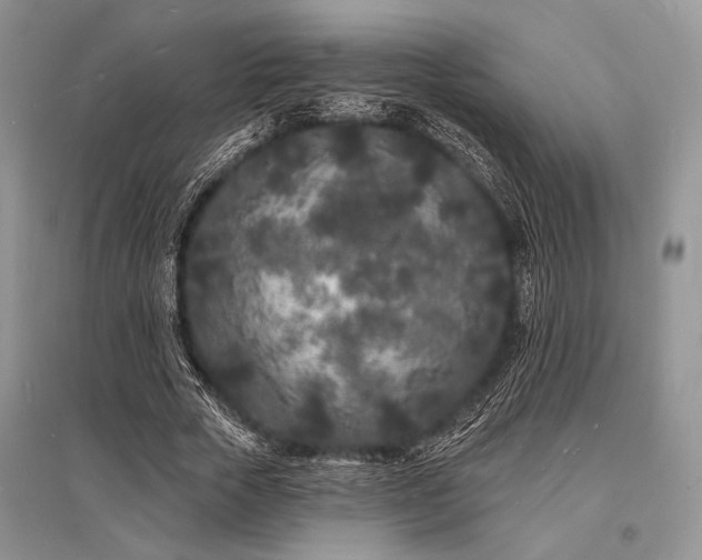 X0000096390729200801241301