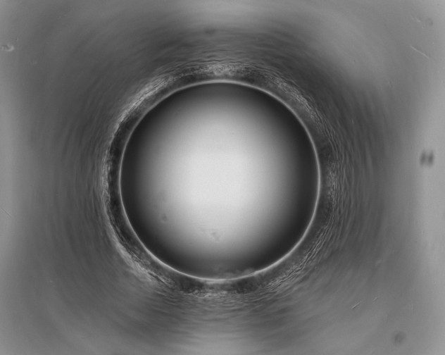 X0000096390730200801241301