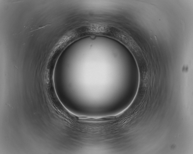 X0000096390731200801241301