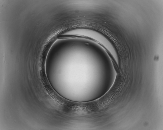 X0000096390732200801241301