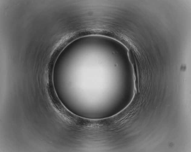 X0000096390734200801241301