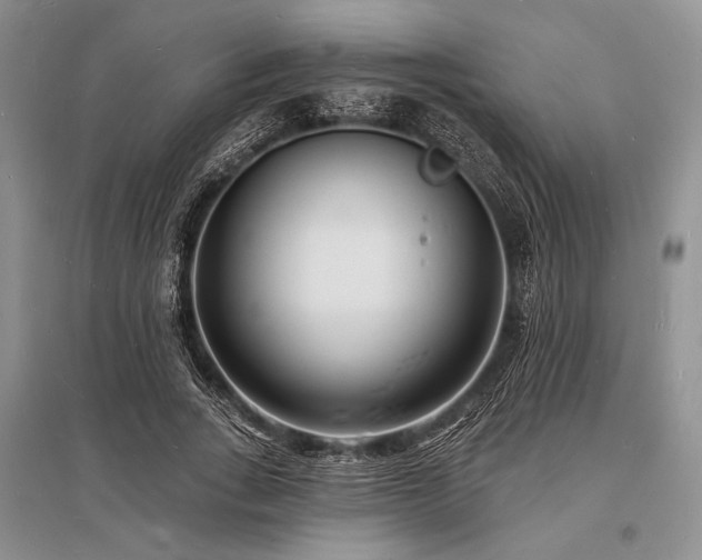 X0000096390735200801241301