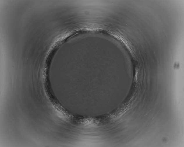 X0000096390736200801241301