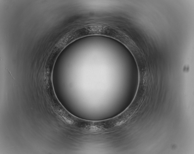 X0000096390737200801241301