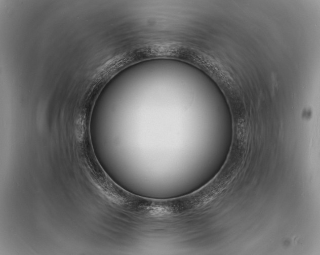 X0000096390741200801241301