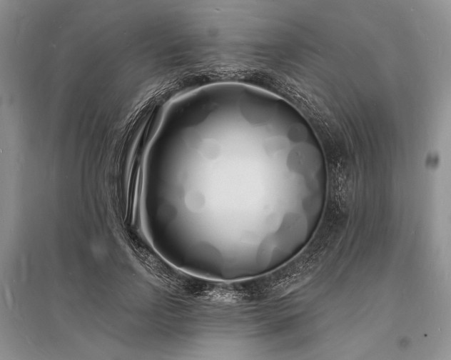 X0000096390742200801241301