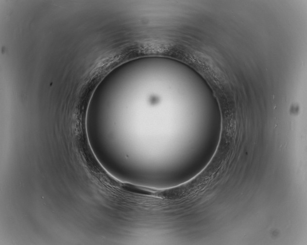X0000096390743200801241301