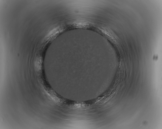 X0000096390744200801241301