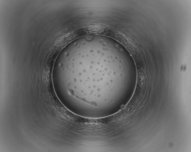 X0000096390745200801241302