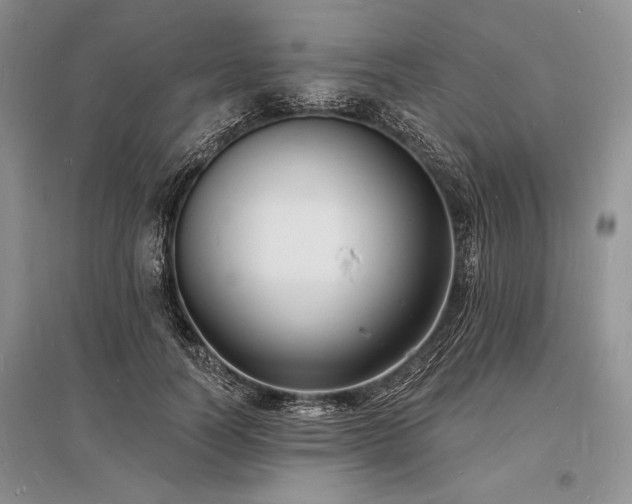X0000096390746200801241302
