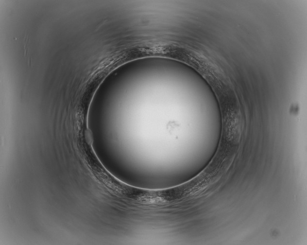 X0000096390747200801241302