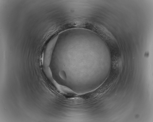 X0000096390748200801241302