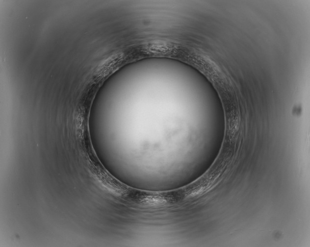 X0000096390749200801241302