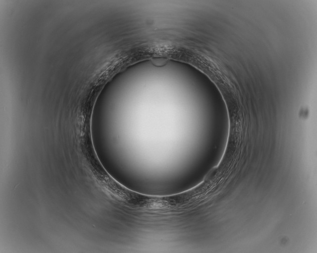 X0000096390750200801241302