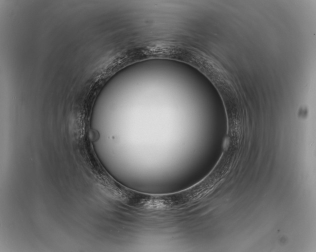 X0000096390751200801241302