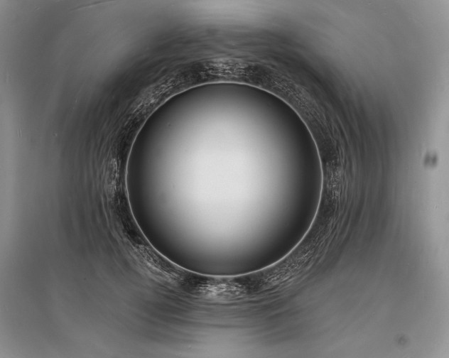 X0000096390752200801241302