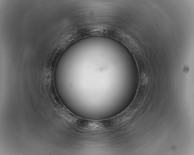 X0000096390753200801241302