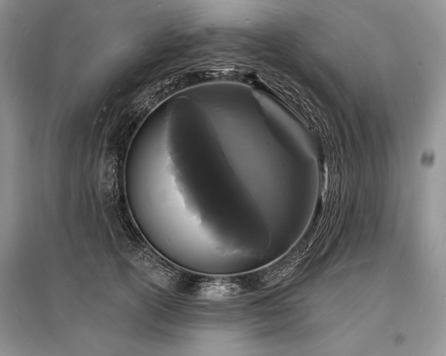 X0000096390754200801241302