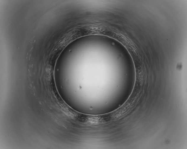 X0000096390757200801241302