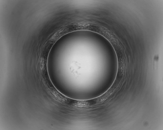 X0000096390758200801241302