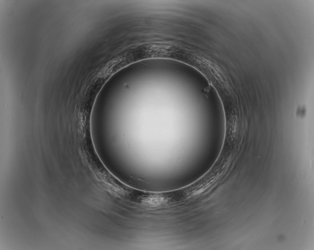 X0000096390759200801241302