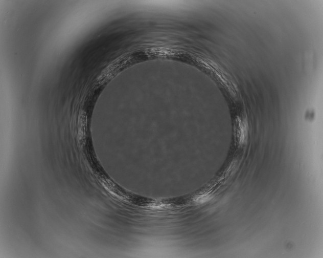 X0000096390760200801241302