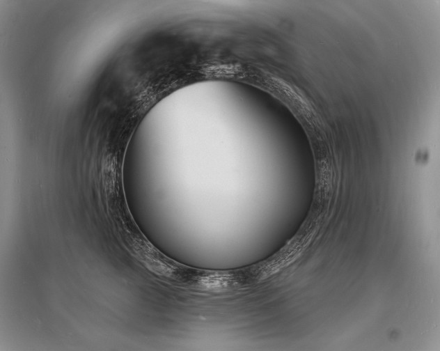 X0000096390761200801241302
